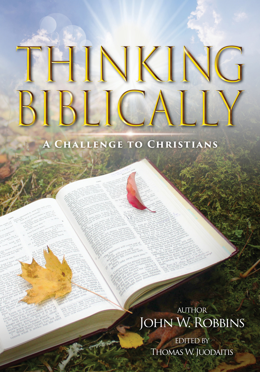 Thinking Biblically: A Challenge to Christians